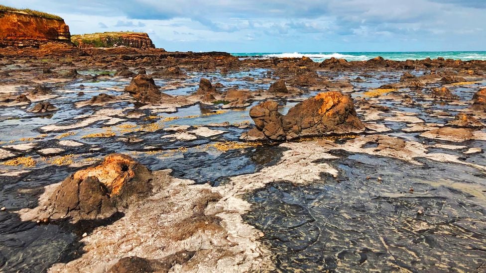 Explore the Southern Scenic Route’s Curio Bay